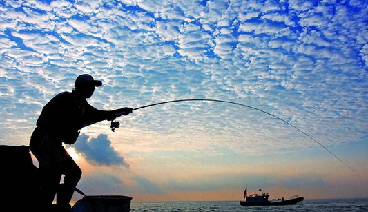 7 Summer Fishing Hacks That Will Double Your Catches (Zero More Empty Trips)
