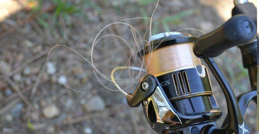 How to prevent fishing line tangles on a spinning reel