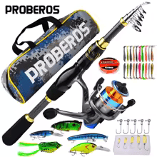 Fishing rod