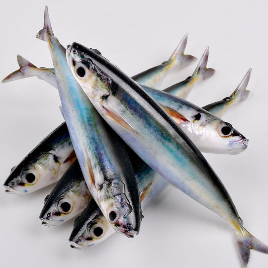 Proberos DW6137 Realistic Sardine Soft Bait Swimbait Lure 3PCS