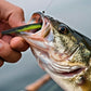 Proberos 110Pcs Soft Worm Fishing Lures Kit – Multi - Color Bass/Trout Baits with Hooks