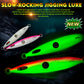 PROBEROS 5PC Dlouhá návnada návnada jig Led Elektronické světlo Fish Eye Noční světlo Pomalu Shake návnada Perch návnada Mořské rybářské zařízení