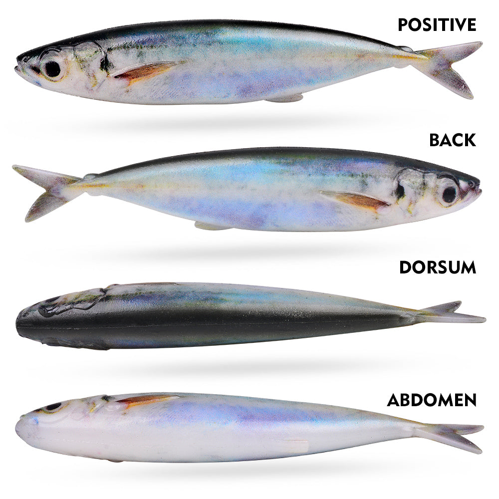 Front and back view details of durable elastic soft sardine swimbait