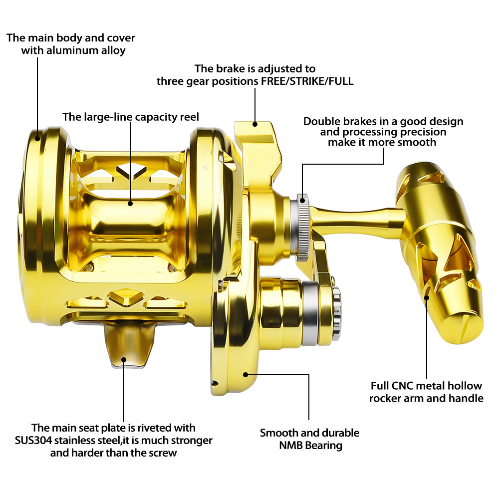PROBEROS 9+1 SA-RB Bearings Brass Main Gear Interior Detail